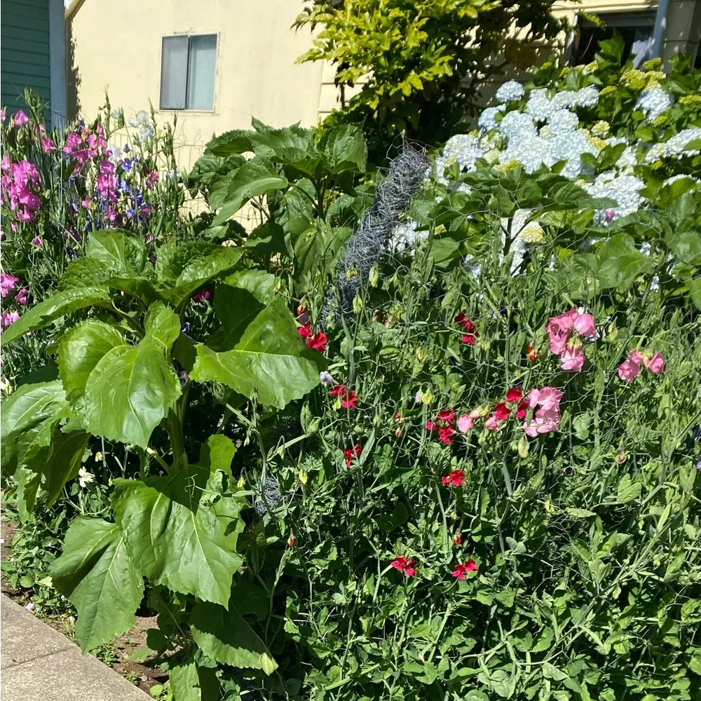 Share Show! Usually No Theme, Just Be Nice. Unlisted Items Too! @katyw12 - Picture 5 of 13